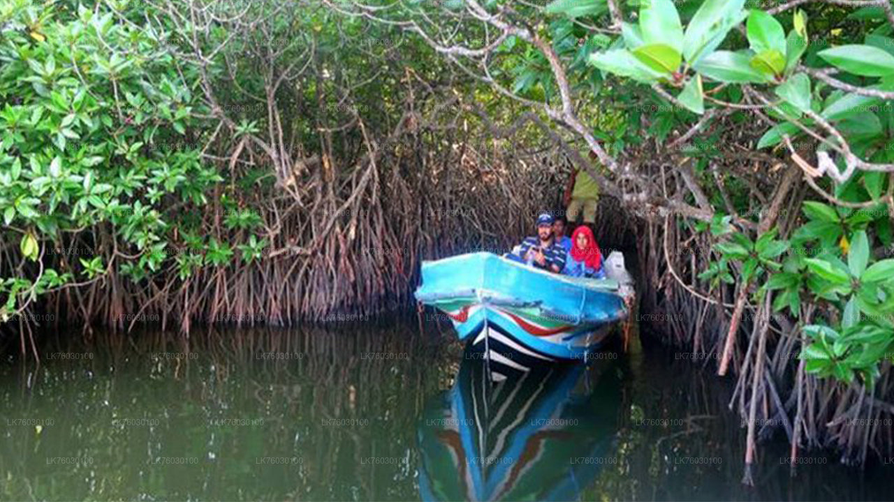 Madol Duwa Boat Safari