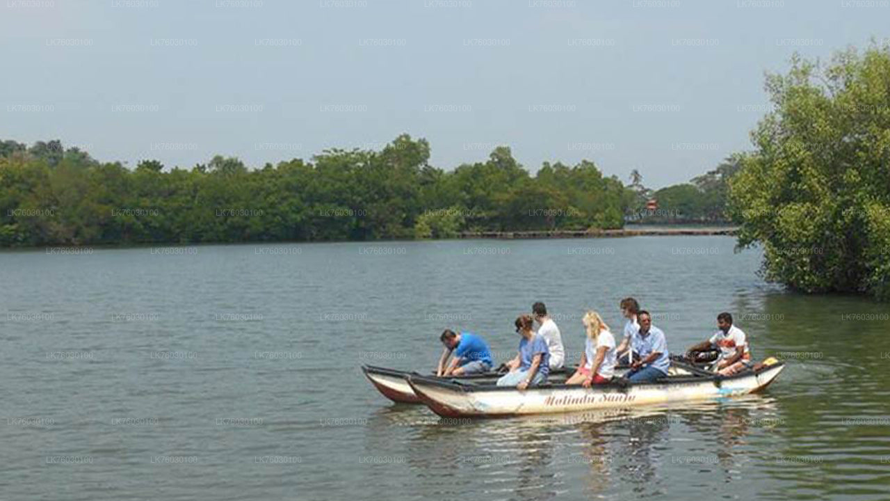 Madol Duwa Boat Safari