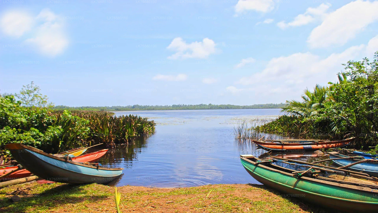 Bolgoda Lake Boat Safari from Colombo