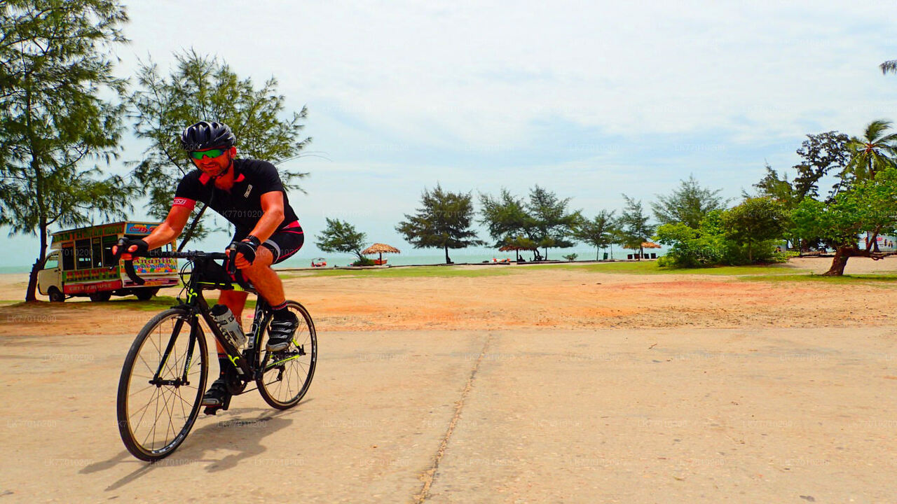 Dutch Footprints Cycling Tour from Colombo