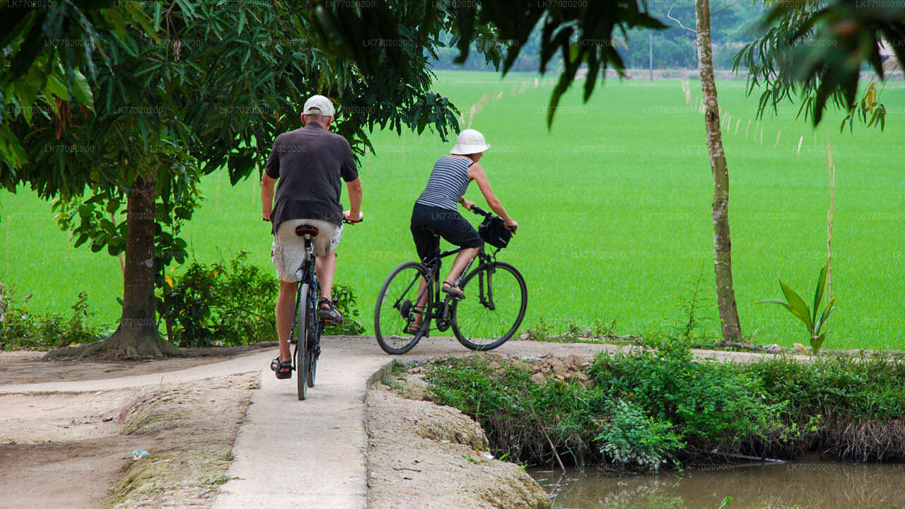 Balana Battlefield Cycling Tour from Kandy