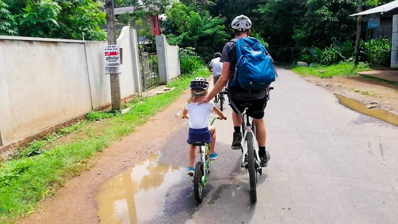 Balana Battlefield Cycling Tour from Kandy