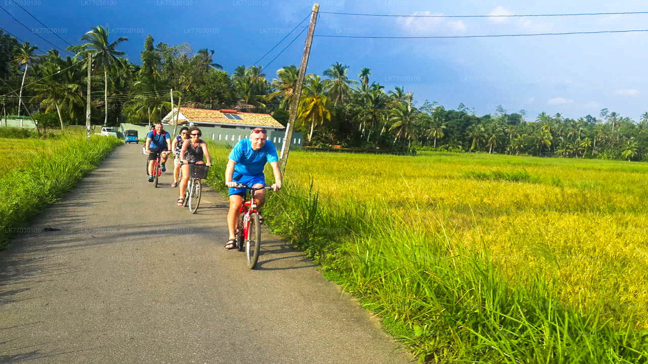 Cycling from Bentota