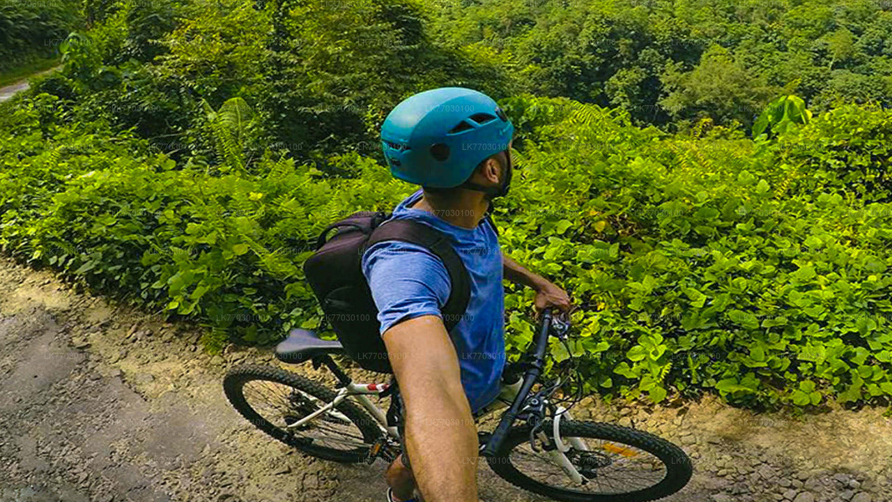 Cycling from Bentota