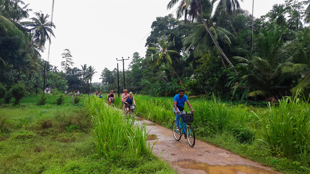 Countryside by Bicycle from Galle