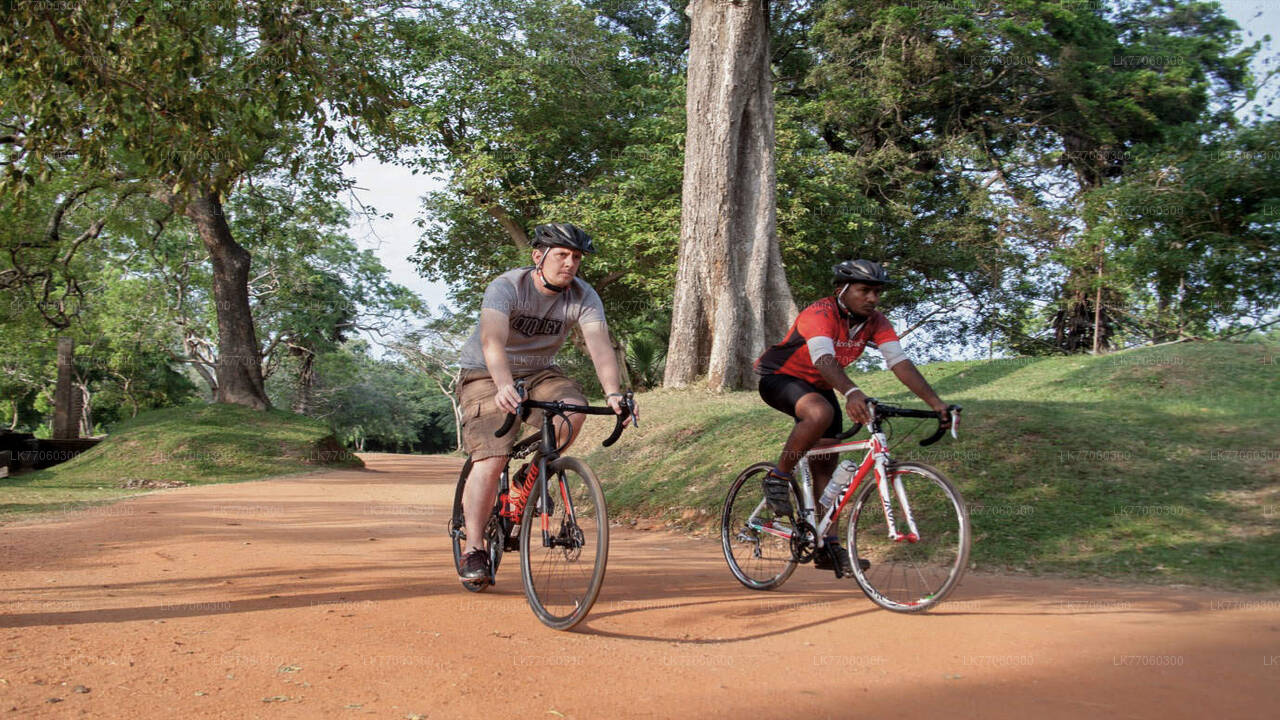 Mihintale Cycling Tour from Anuradhapura