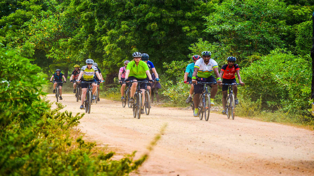 Cycling from Yala