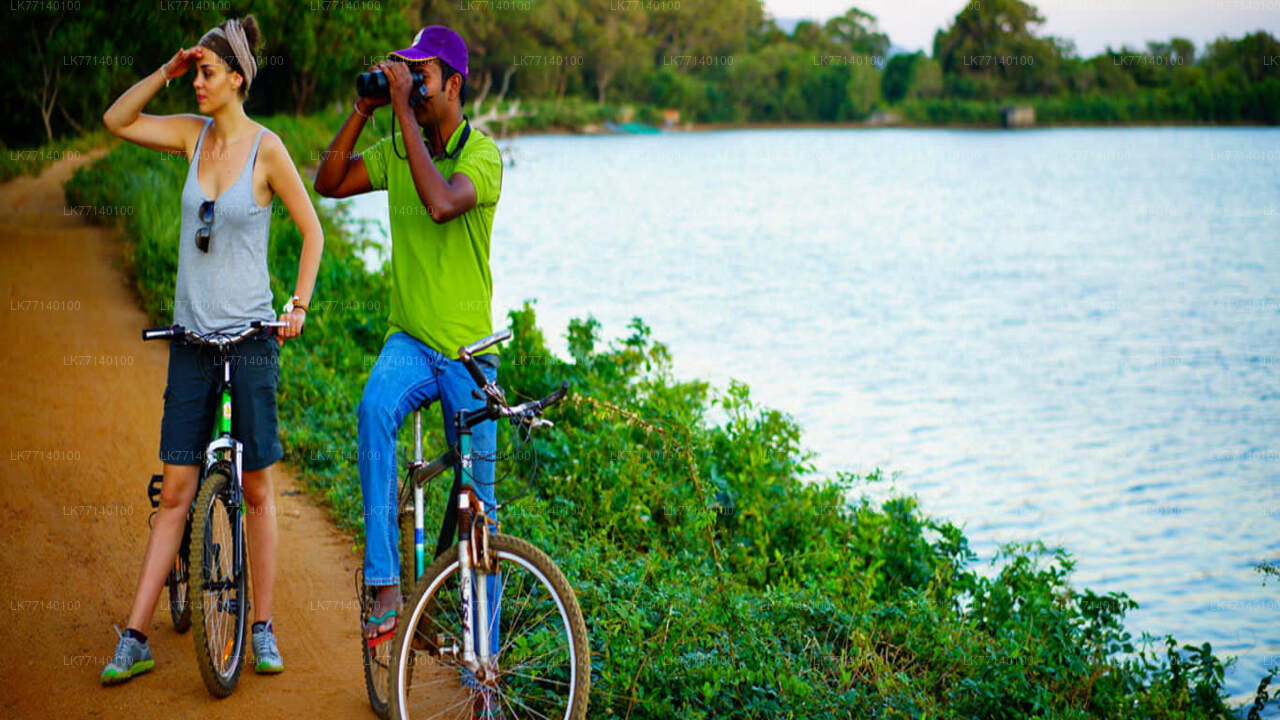 Cycling from Yala