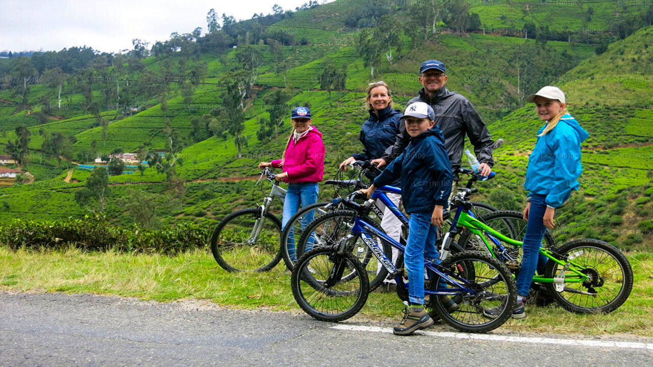 Cycling from Nuwara Eliya