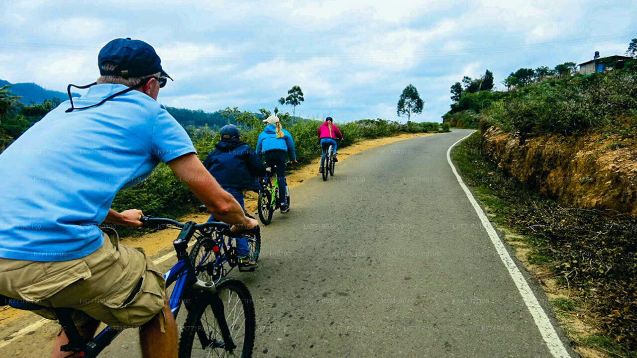 Cycling from Nuwara Eliya