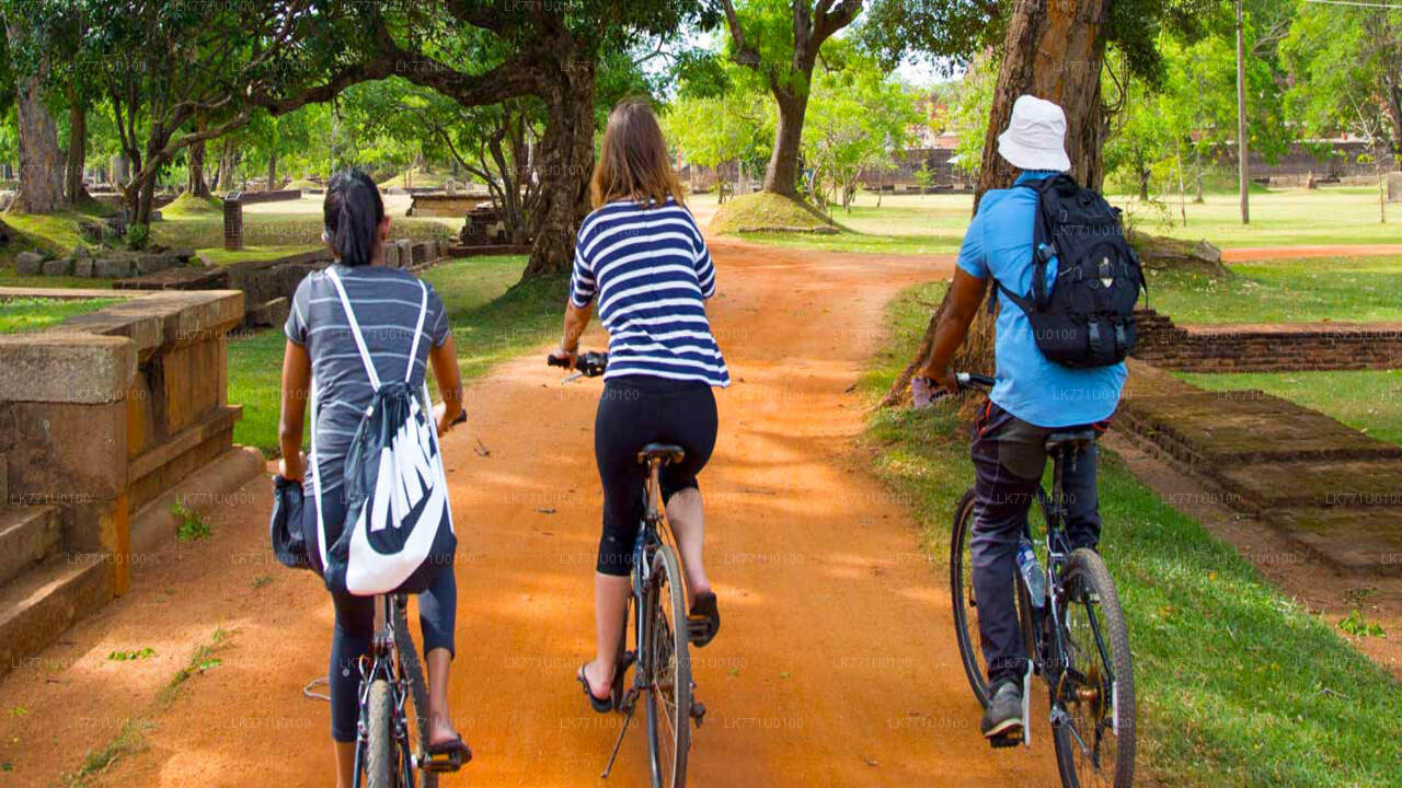 Cycling Through Ancient Ruins from Polonnaruwa