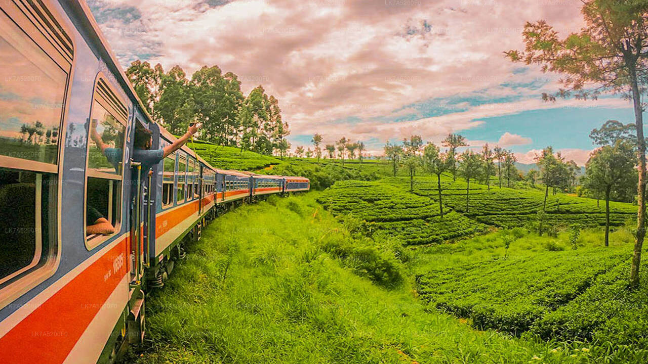 Ella to Peradeniya train ride on (Train No: 1002 "Denuwara Menike")