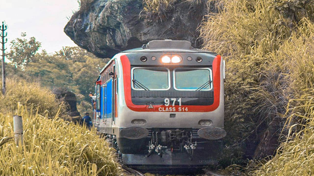 Ella to Peradeniya train ride on (Train No: 1002 "Denuwara Menike")