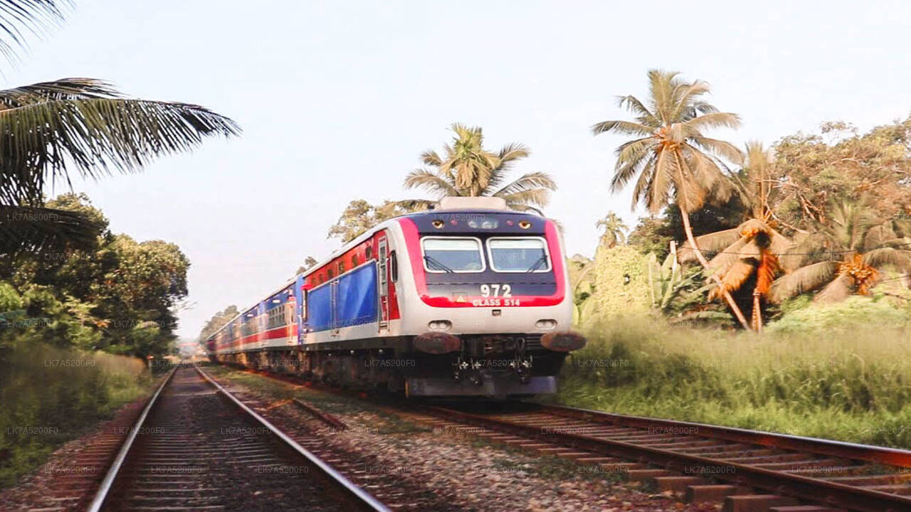 Ella to Peradeniya train ride on (Train No: 1002 "Denuwara Menike")