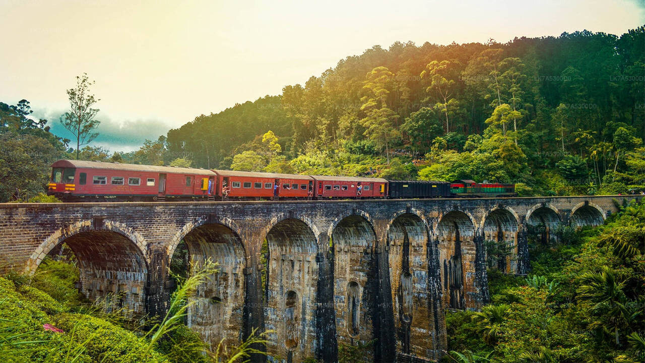 Ella to Kandy train ride on (Train No: 1016 "Udarata Menike")