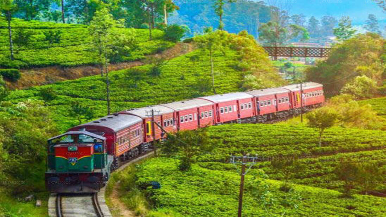 Ella to Kandy train ride on (Train No: 1016 "Udarata Menike")