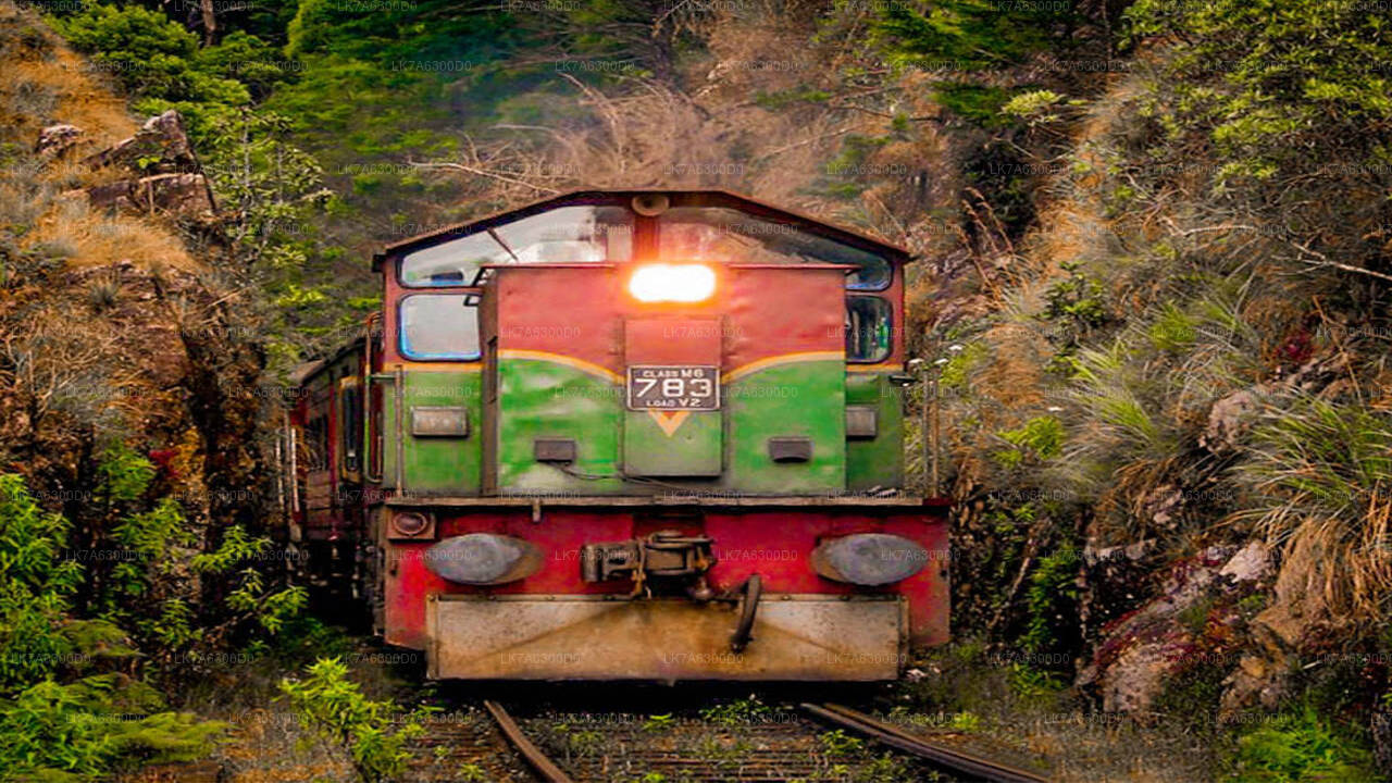 Badulla to Kandy train ride on (Train No: 1016 "Udarata Menike")