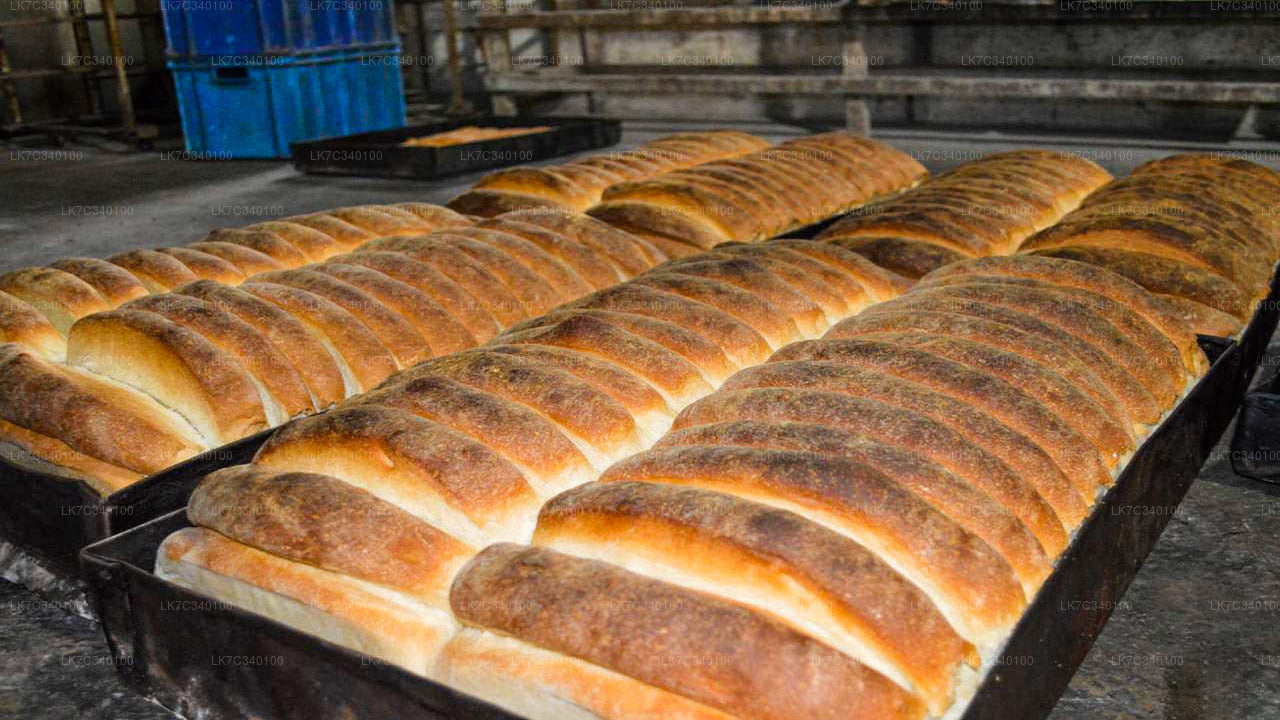 Sri Lankan Traditional Bakery Experience from Panadura