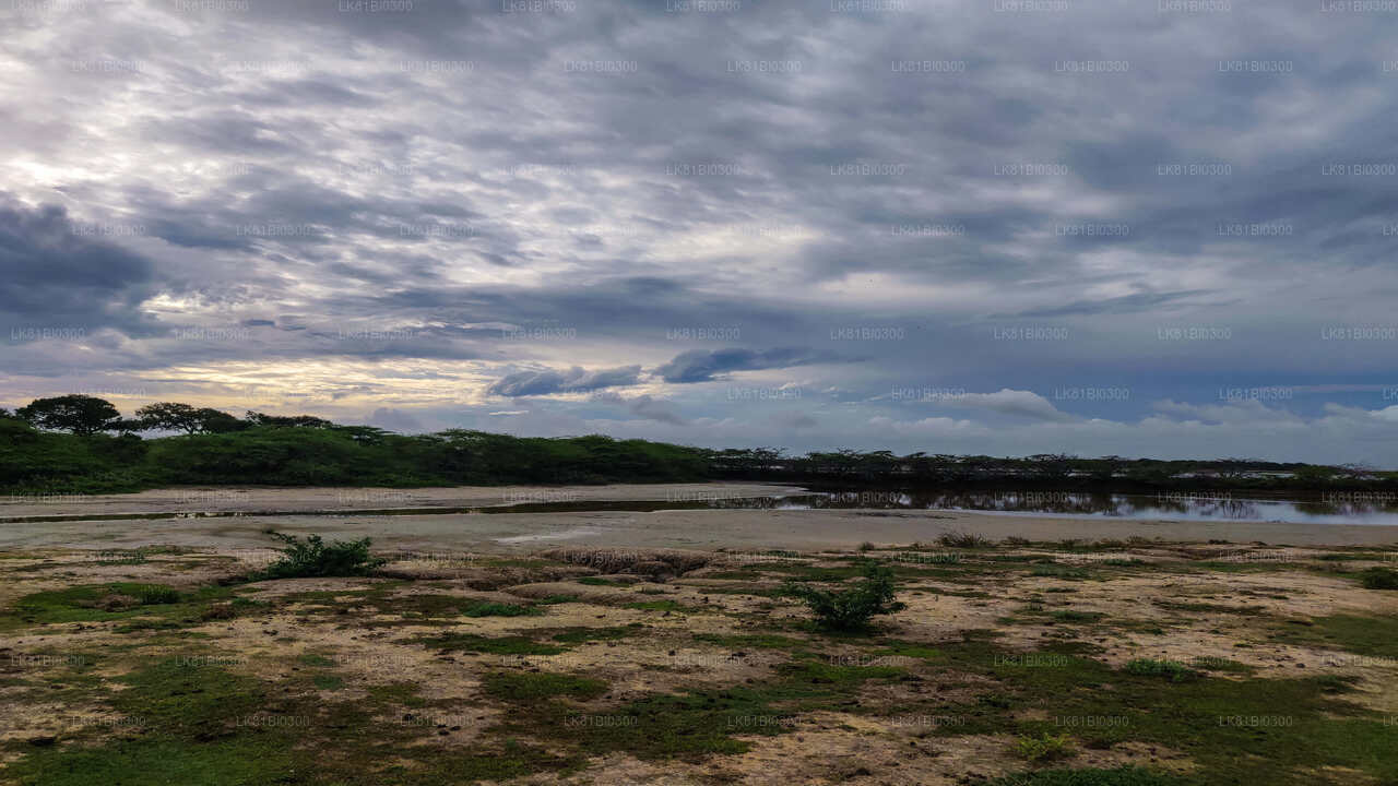 Bundala National Park Safari From Hambantota Port