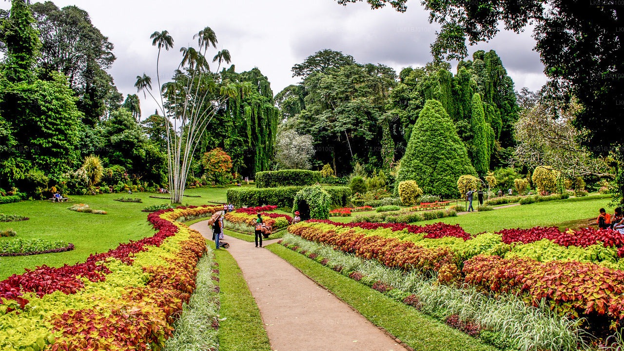 Kandy City Tour from Colombo Seaport