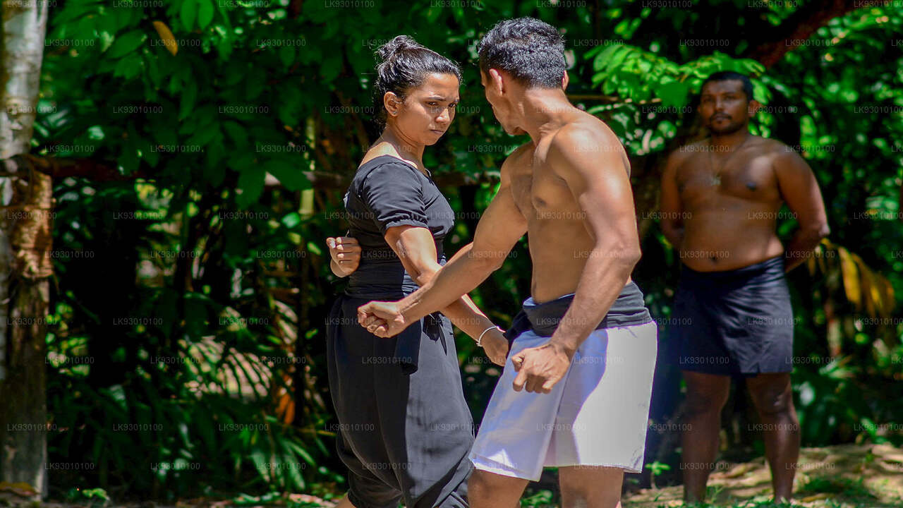 Angampora Martial Arts Show from Colombo