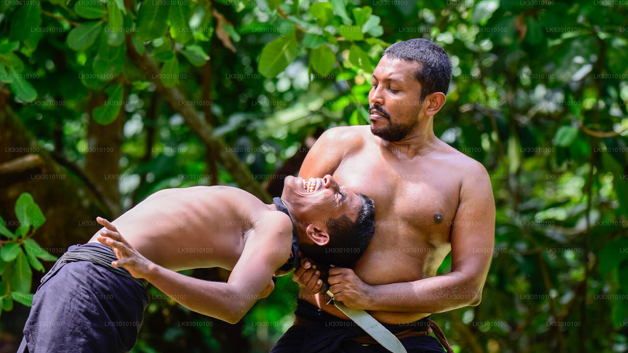 Angampora Martial Arts Show from Colombo