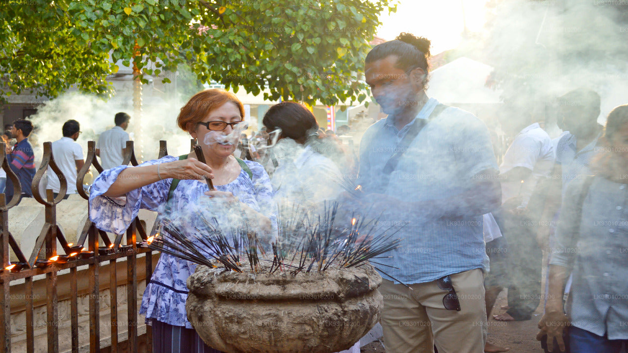 Colombo Buddhist Iconography Experience