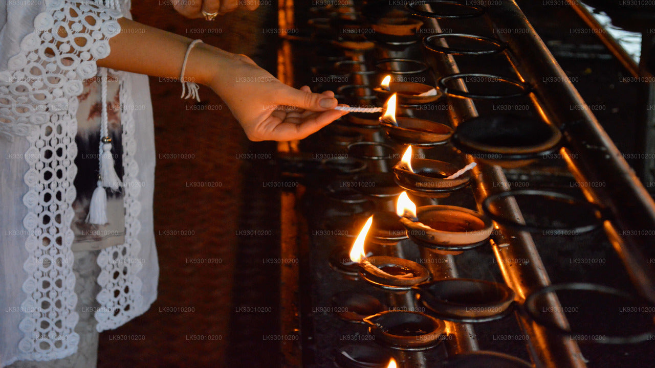 Colombo Buddhist Iconography Experience