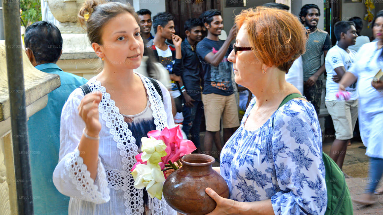 Colombo Buddhist Iconography Experience