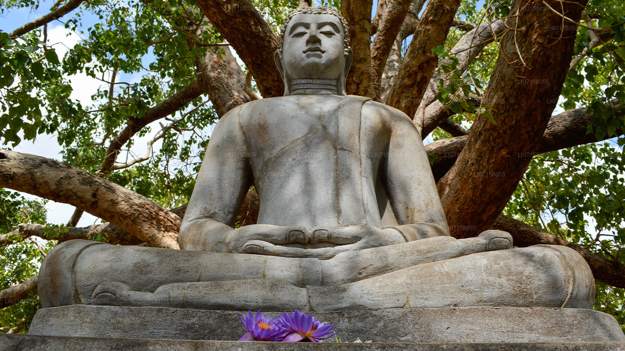 Spiritual Experience from Anuradhapura