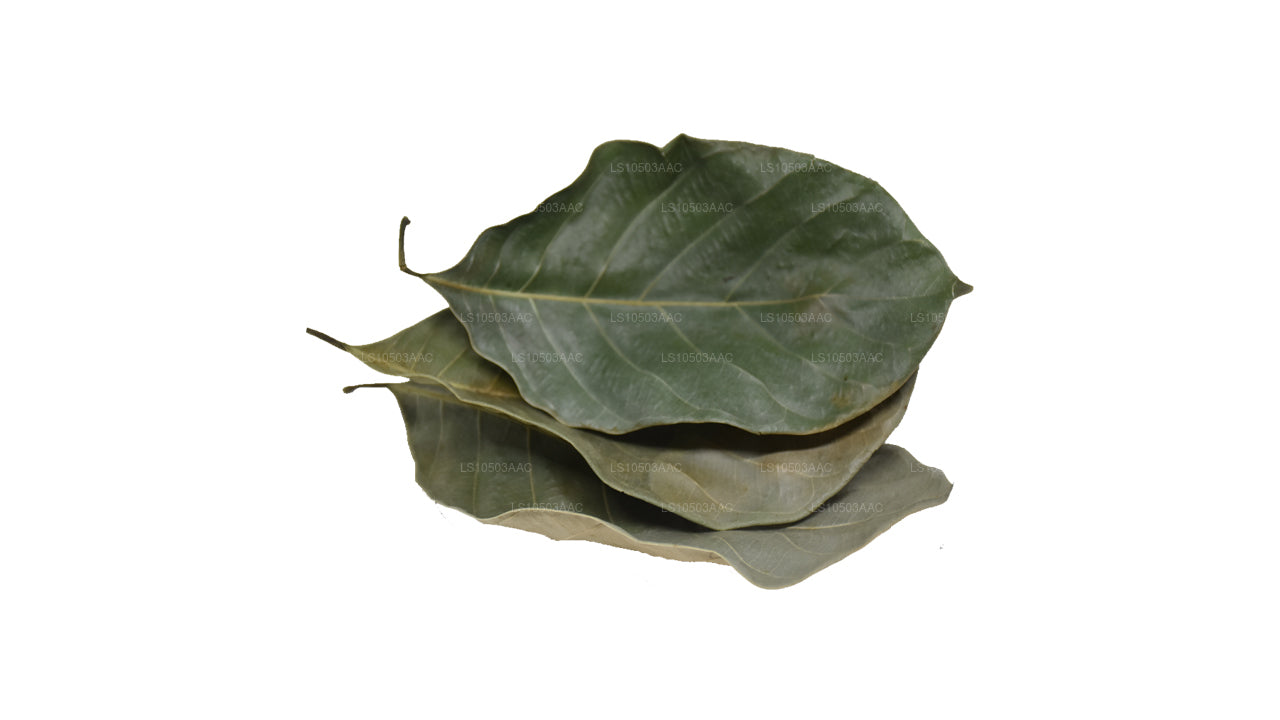 Lakpura Dried Jackfruit Leaves 100% Organic (250g)