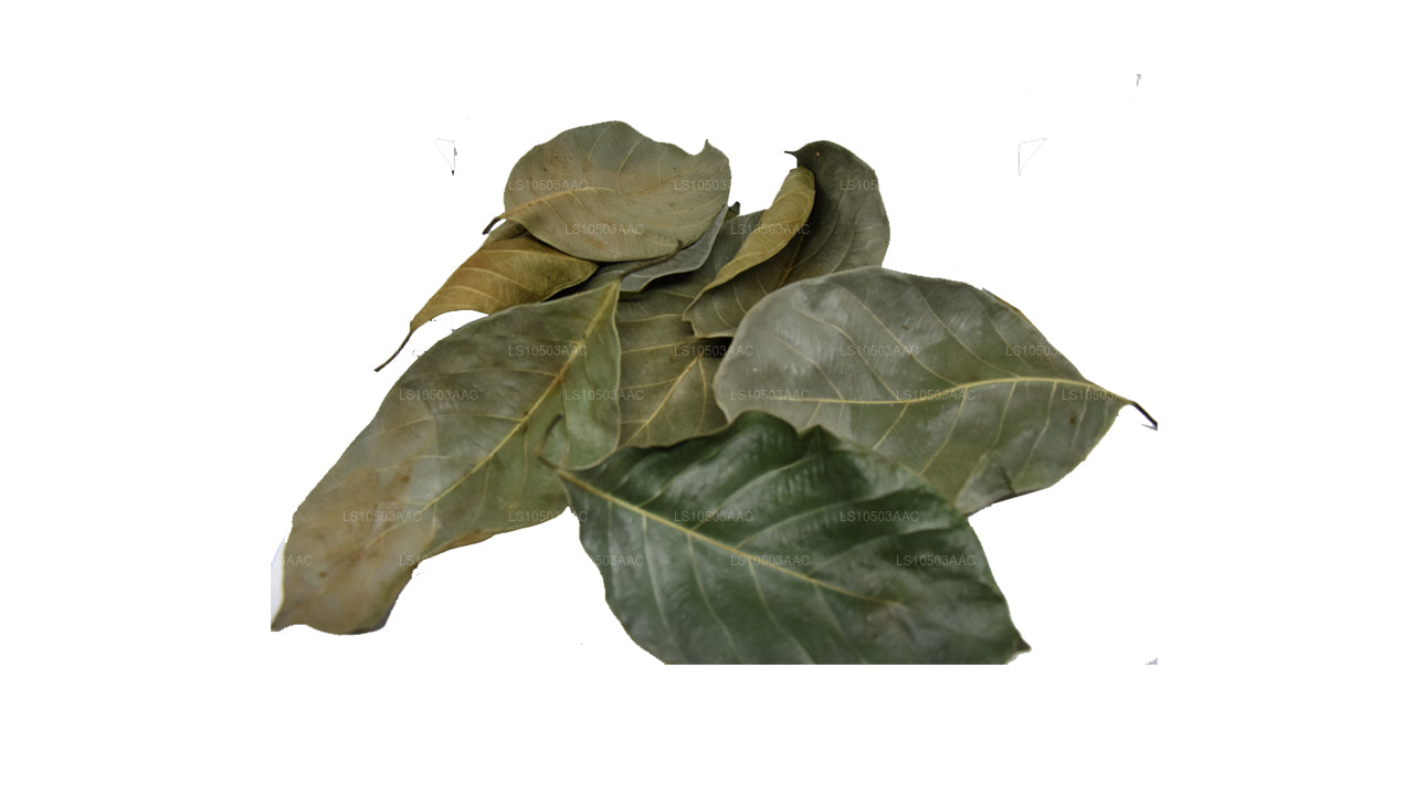 Lakpura Dried Jackfruit Leaves 100% Organic (250g)