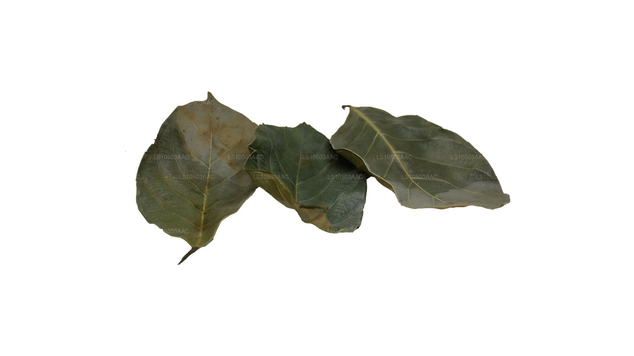 Lakpura Dried Jackfruit Leaves 100% Organic (250g)