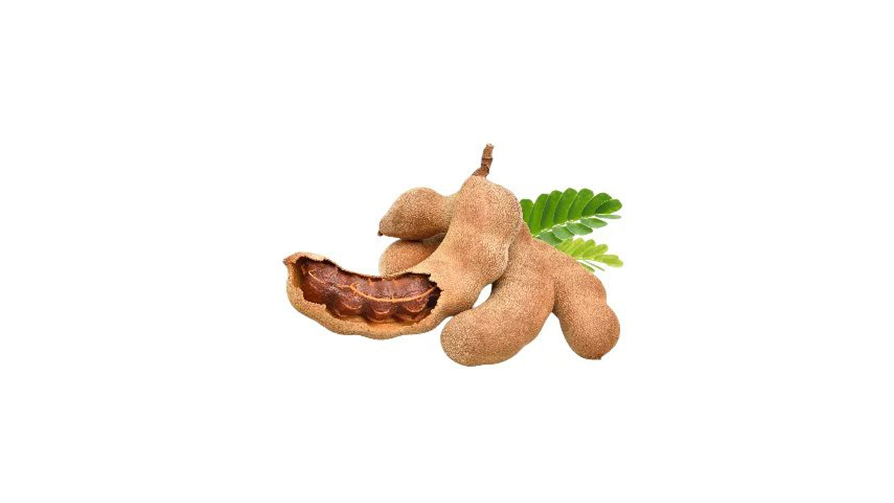 Tamarind (දේශීය සියඹලා ඇඹුල් බද්ධ) Fruit Plant