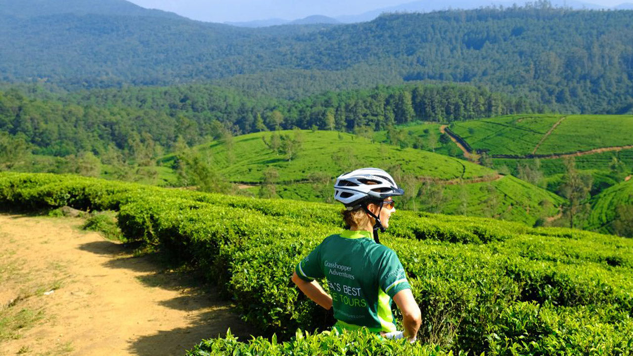 Nuwara Eliya Highlands Cycling Tour from Kandy